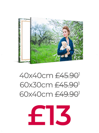 9 Canvas Prints up to 80% off!