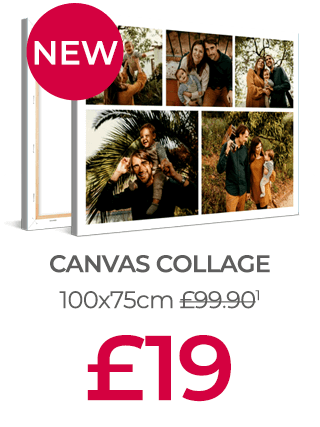 Save 81% on a huge Canvas Print!
