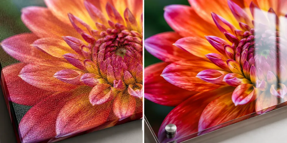Close-up of a dahlia flower photo split between soft matte canvas texture and vivid glossy acrylic finish