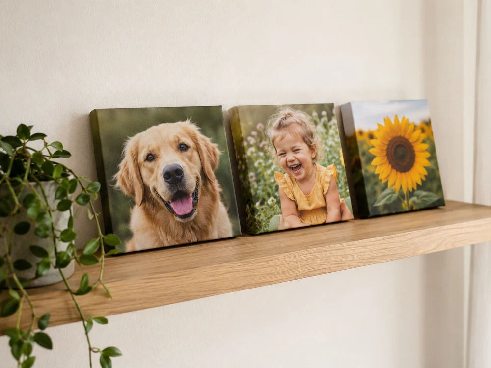 A group of mini canvas prints arranged along a shelf