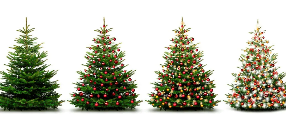 How to Decorate a Christmas Tree. Four Christmas trees with progressively more adornment.