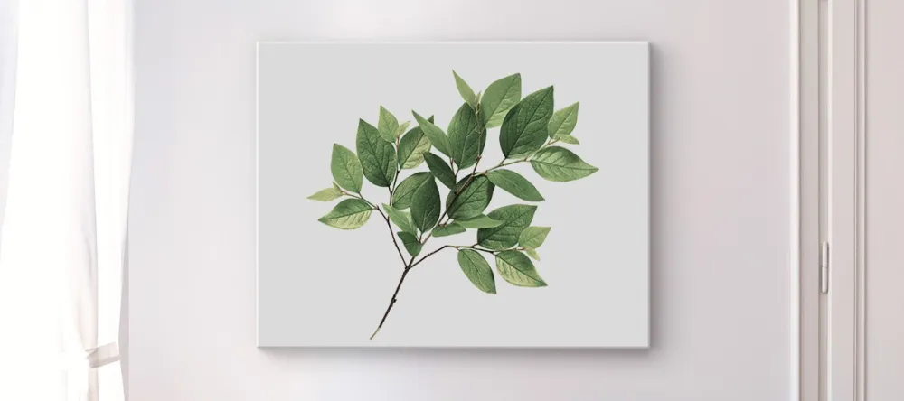 What is Lamination on Canvas Prints. Print on wall showing leaves.