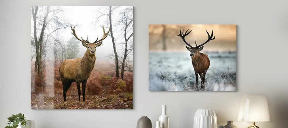 How to hang aluminium prints for maxium visual impact. Photo metal prints on wall. 