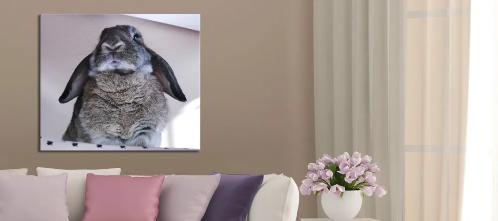 Should I Buy Canvas Prints from My-Picture.co.uk. Photo canvas print with cute rabbit.