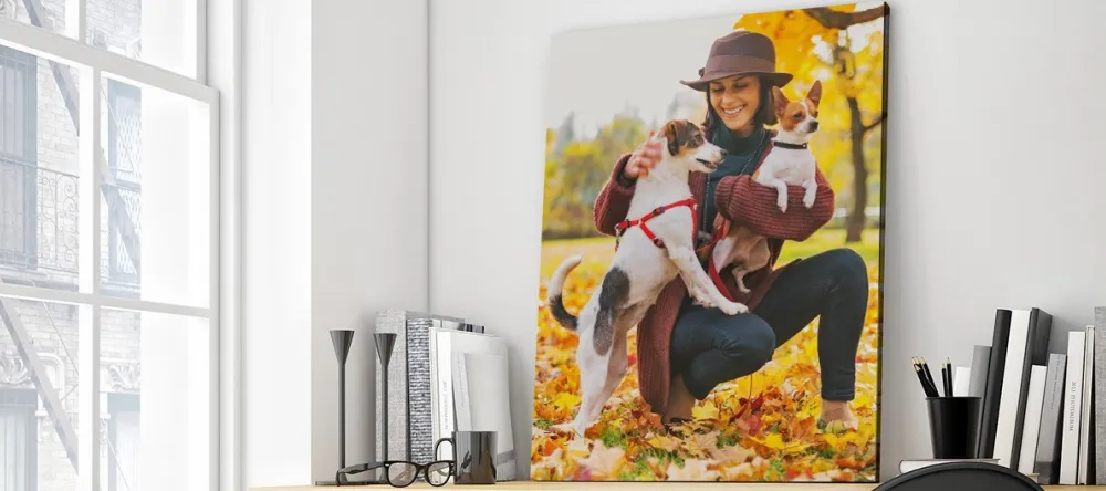 How to Hang Acrylic Prints. Beautiful photo acrylic print with lady and her dogs.