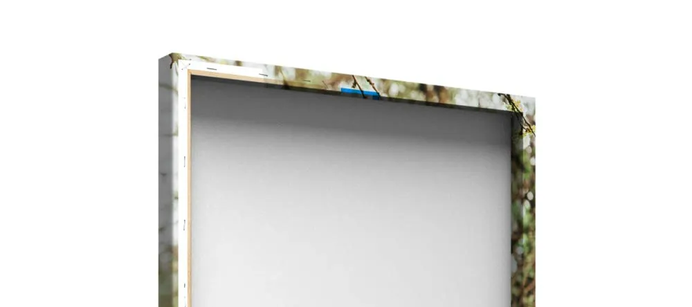What is Gallery Wrapped Canvas? Close-up of stretched canvas print.