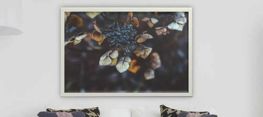 What is a Canvas Print? Photo canvas print with decorative frame. 