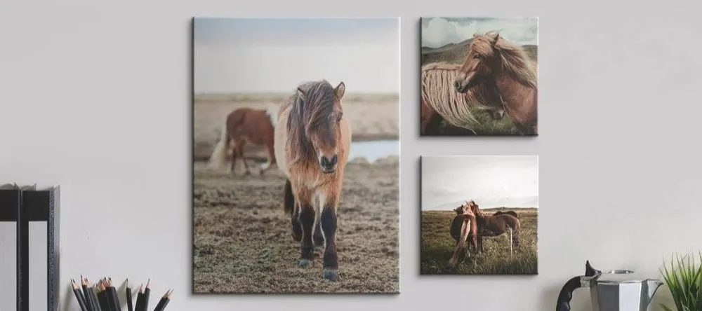 How We Get Your Canvas Prints Delivered on Time. Canvas prints featuring photos of horses.