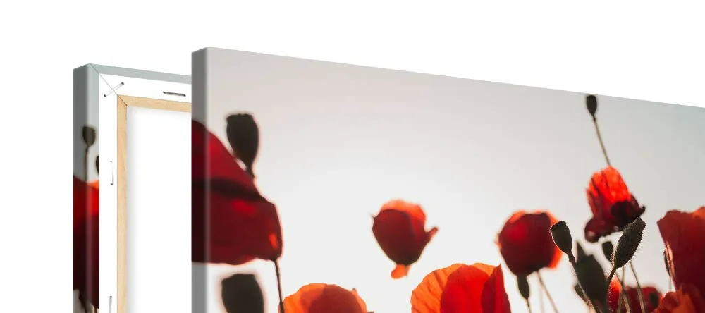 Should Canvas Prints Be Framed? Photo canvas print frame from backside.