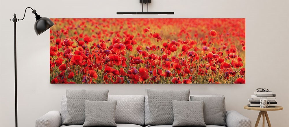 My-Picture Delivery Times. Panorama format Canvas Print displayed in living room.