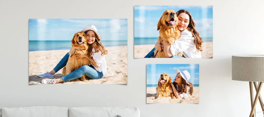 How to Hang Posters without Damaging the Wall. Photo posters on wall with pictures of woman and dog.