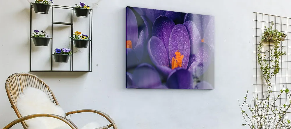 Outdoor Canvas Art. Acrylic print on wall outside.