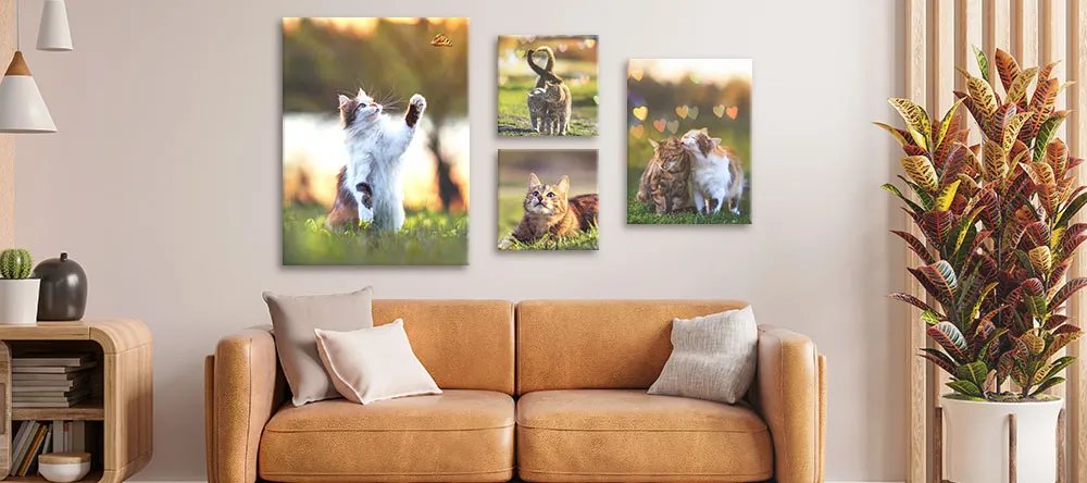 Cat Canvas Art: Our Favourite Felines on Canvas. Beautiful gallery wall of cat photos. 