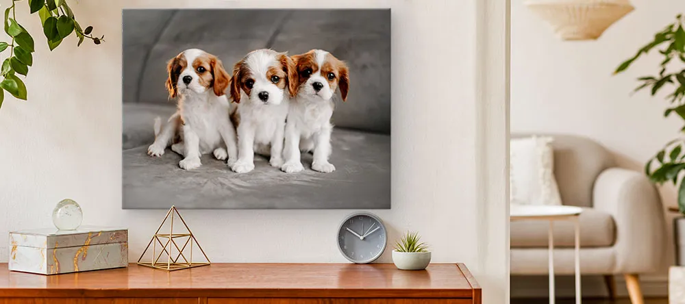Dog Canvas Art: Man’s Best Friend on Canvas. Three cute puppies on a canvas wall. art. 