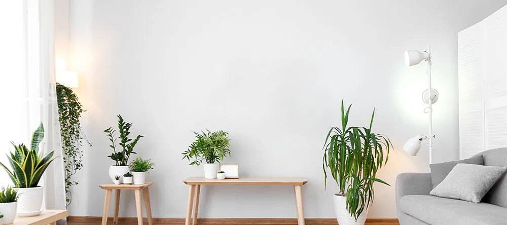 How to arrange photos on a wall: a large bare wall in the room