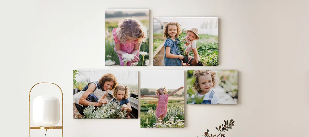 What is the standard photo size: a canvas print wall art cluster