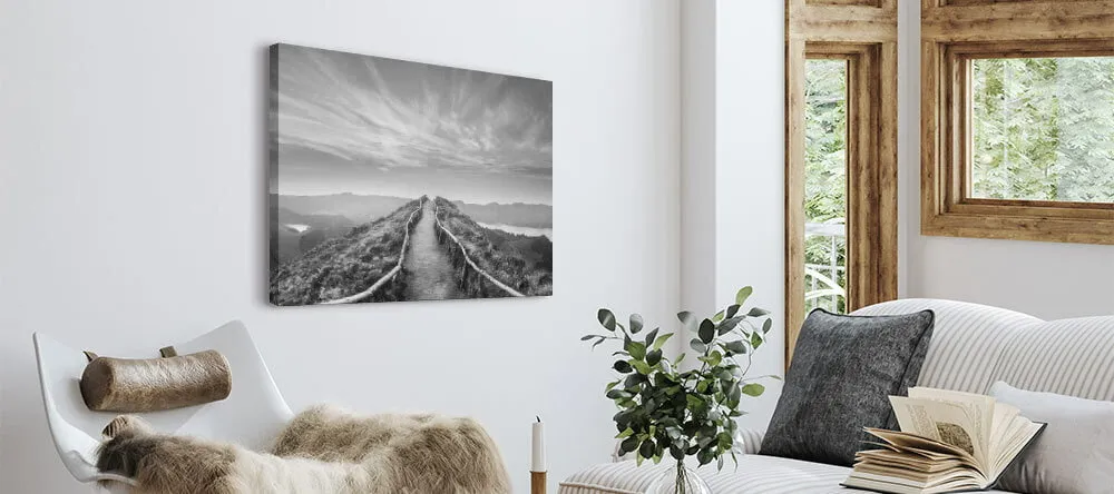Black and White Canvas Wall Art. Monochrome canvas print featuring mountain trail.
