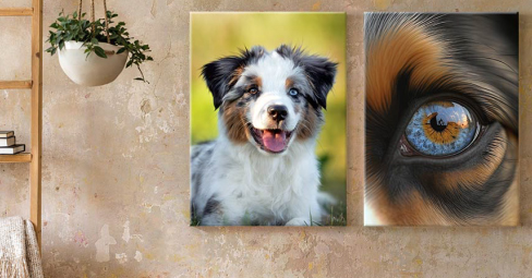 Dog Canvas Art: Man’s Best Friend on Canvas