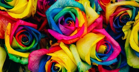 What is a Giclée Print?