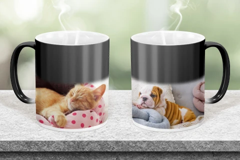 Magic cup price discount