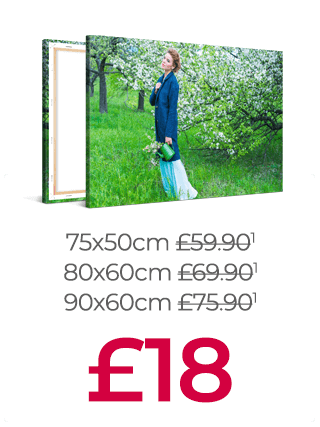9 Canvas Prints up to 80% off!