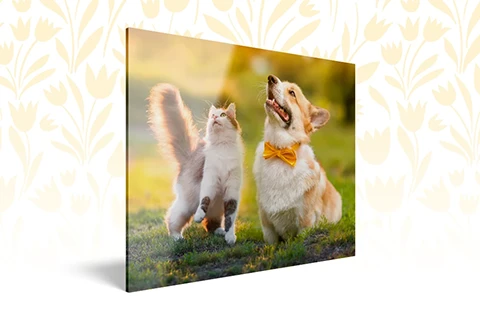 Crystal-clear acrylic glass with polished edges