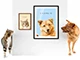 thumbnail pets with pet portraits