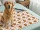 thumbnail dog