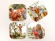 personlised photo coasters thumbnail 3