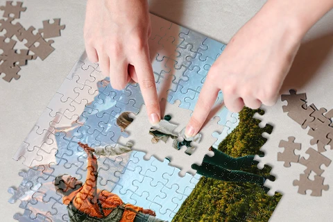 Putting puzzle together
