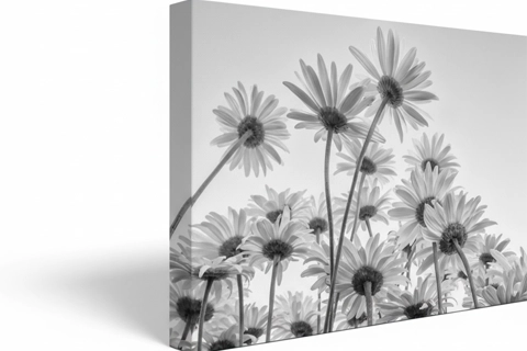 quality of panoramic canvas